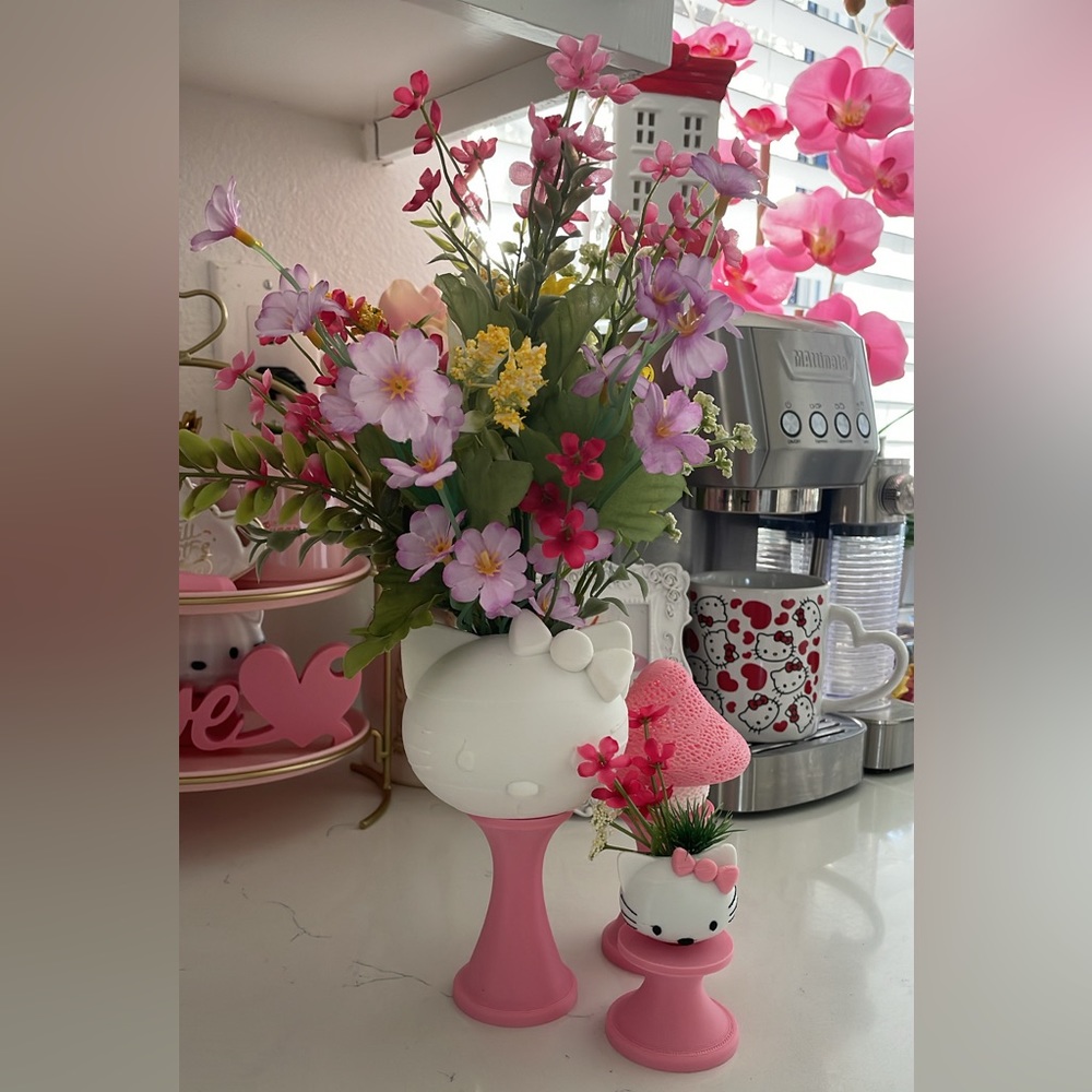 💕Hello kitty pot plants💕